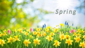 Spring Hope Orthopaedic