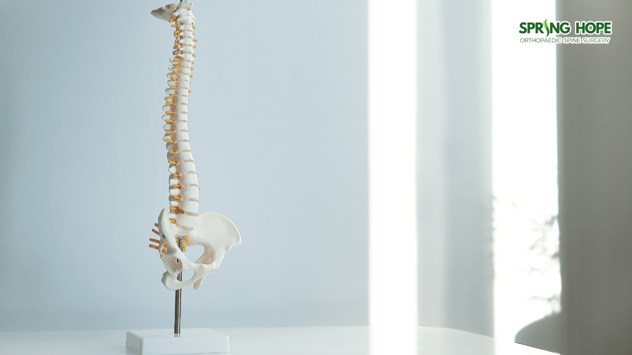 The Danger of Spinal Cord Compression